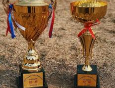 PG电子官网入口-克罗地亚选手在橄榄球比赛中夺得表现亮眼，斩获季军