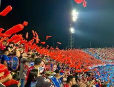 PG电子官方-里昂球迷疯狂挥舞球队旗帜，现场气氛火爆