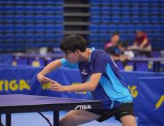 PG游戏官网登录入口-法国乒乓球队力克德国乒乓球队，奥恰洛夫统治全场