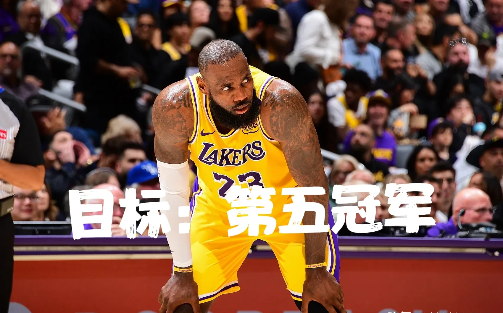PG电子线上登入-「湖人连胜五场，詹姆斯狂砍40分」