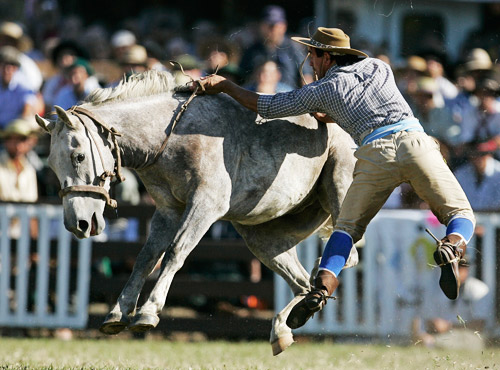 PG电子官网入口-南美洲冠级比赛进入白热化阶段，扣人心弦