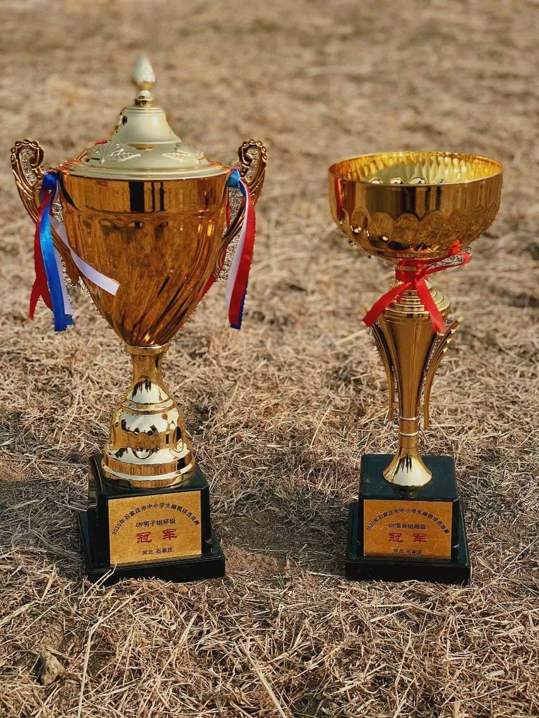 PG电子官网入口-克罗地亚选手在橄榄球比赛中夺得表现亮眼，斩获季军